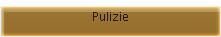 Pulizie